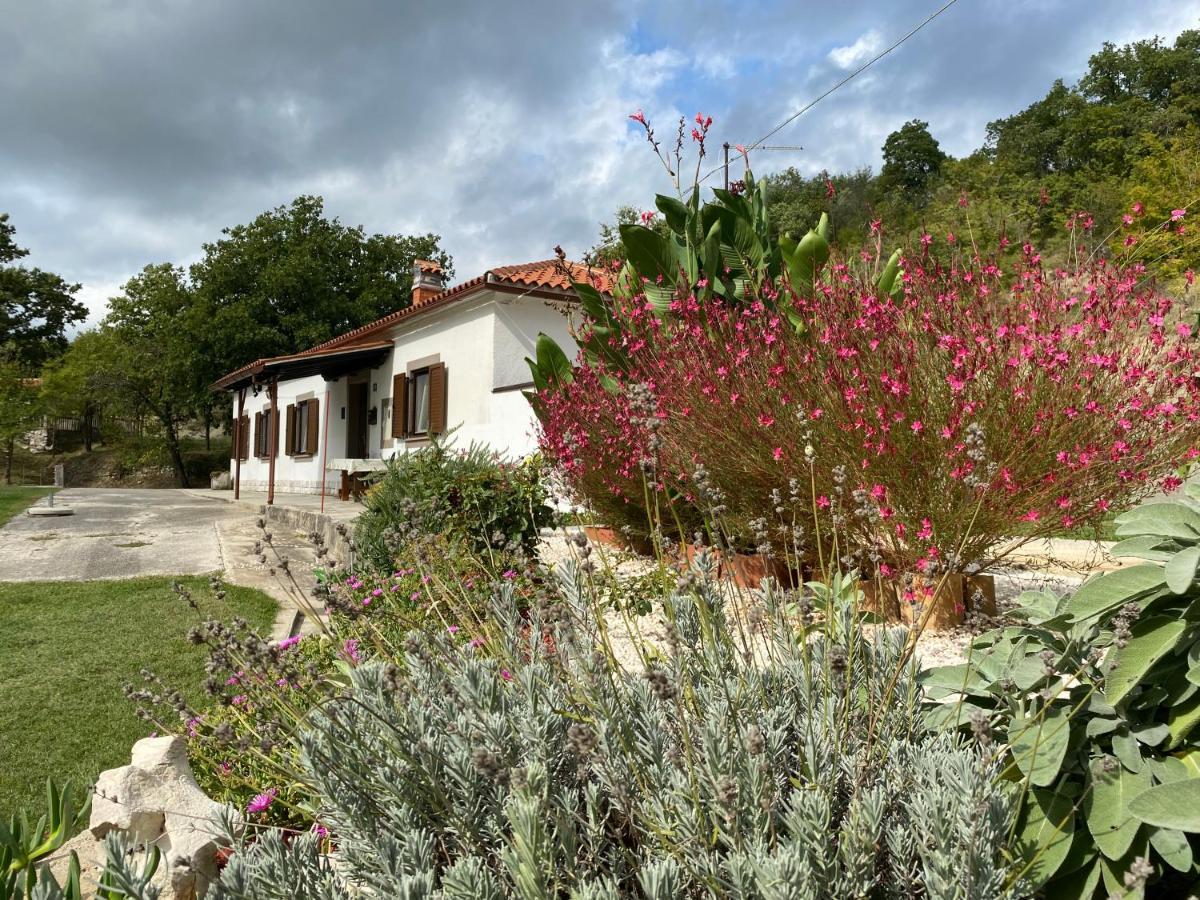 Istrian House In The Heart Of Tupljak - Smilovic Potpićan Eksteriør billede